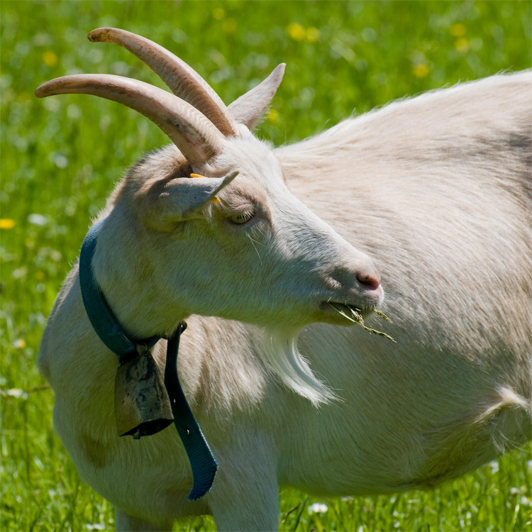 Südtirol D35_4974 als Smart-Objekt-1 Kopie.jpg